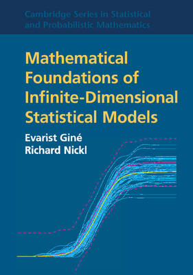 Mathematical Foundations of Infinite-Dimensional Statistical Models -  Evarist Gine,  Richard Nickl