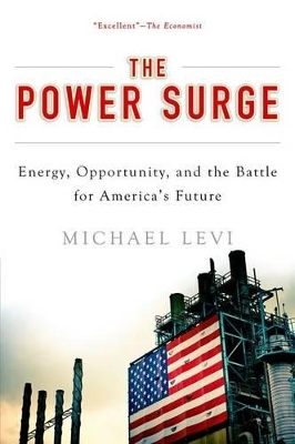 The Power Surge - Michael Levi