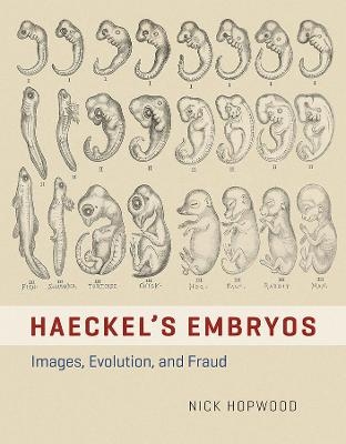 HAECKEL'S EMBRYOS - IMAGES, EVOLUTION, AND FRAUD - Nick Hopwood