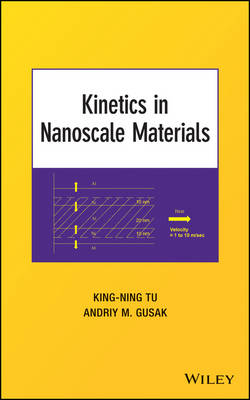 Kinetics in Nanoscale Materials -  TU