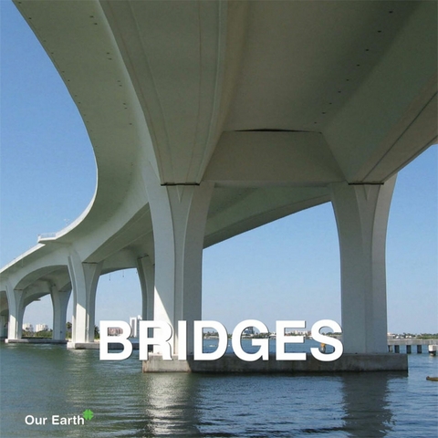 Bridges -  Charles Victoria Charles