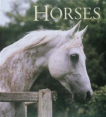 Horses - John Downs