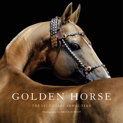 Golden Horse - Aleksandr Klimuk