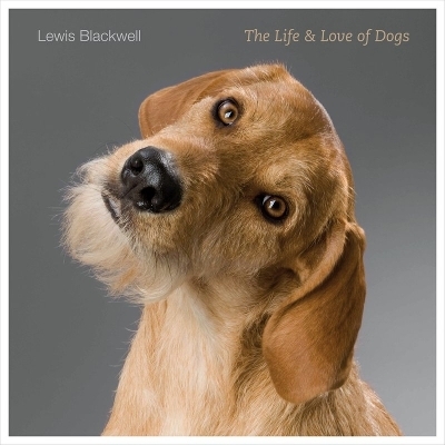 The Life and Love of Dogs - Lewis Blackwell