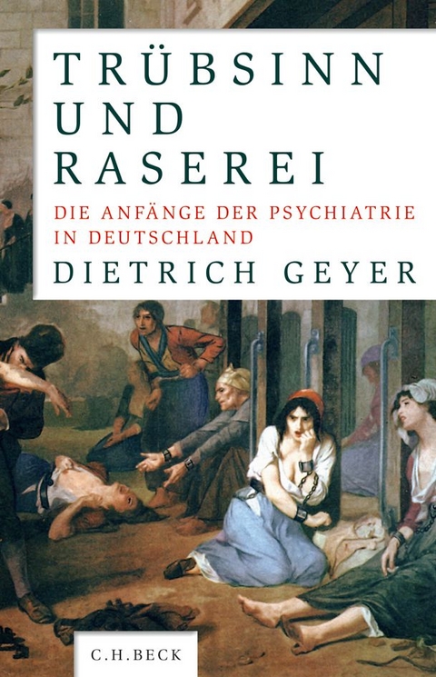 Trübsinn und Raserei - Dietrich Geyer