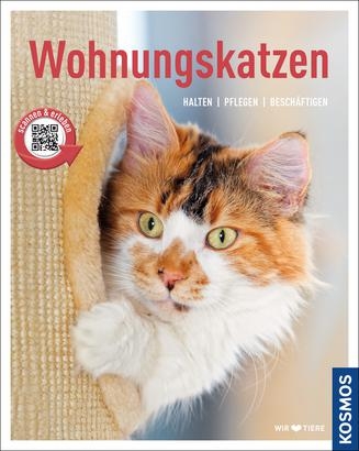 Wohnungskatzen - Hannelore Grimm