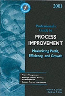 2001 Professional's Guide to Process Improvement - Bennet P. Lientz,  Rea Kathryn P.