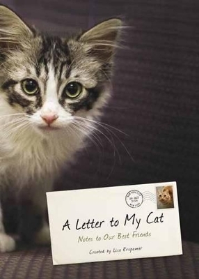 A Letter to My Cat - Lisa Erspamer