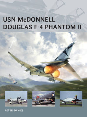 USN McDonnell Douglas F-4 Phantom II -  Peter E. Davies