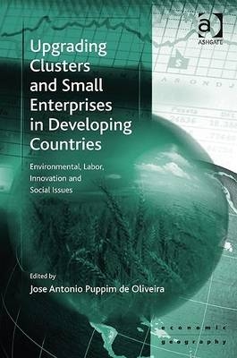 Upgrading Clusters and Small Enterprises in Developing Countries - 