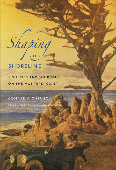 Shaping the Shoreline - Connie Y. Chiang