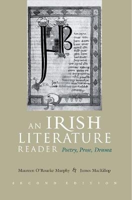 An Irish Literature Reader - James J MacKillop