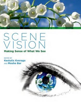 Scene Vision - 