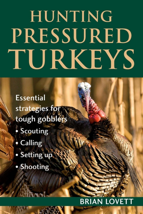 Hunting Pressured Turkeys -  Brian Lovett