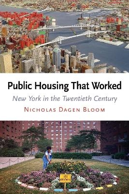 Public Housing That Worked - Nicholas Dagen Bloom