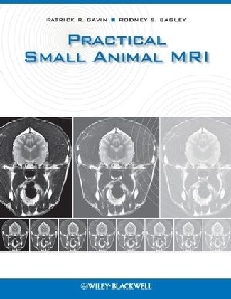 Practical Small Animal MRI - 