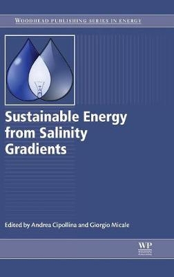 Sustainable Energy from Salinity Gradients - 