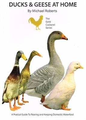 Ducks and Geese at Home - Michael Roberts