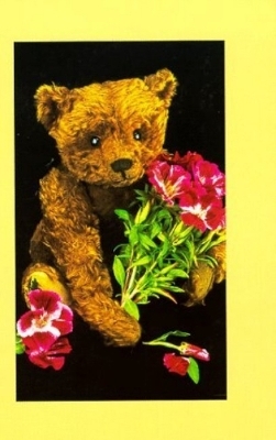 Teddy Bear Collector's Journal - Krystyna Poray Goddu