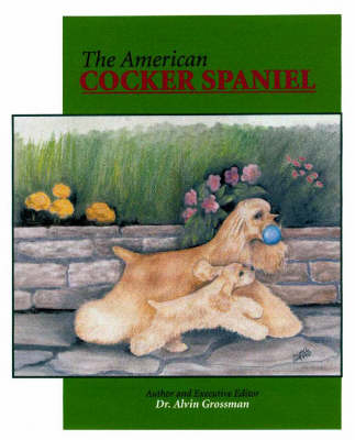 American Cocker Spaniel - Alvin Grossman