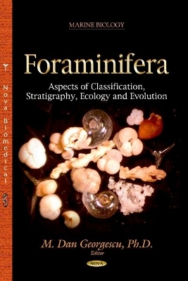 Foraminifera - 