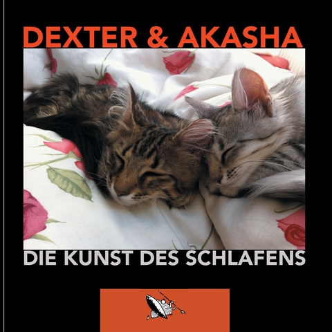 Die Kunst des Schlafens - GAX Axel Gundlach