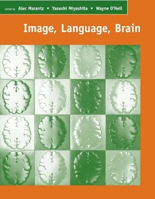 Image, Language, Brain - 