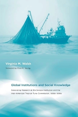 Global Institutions and Social Knowledge - Virginia M. Walsh