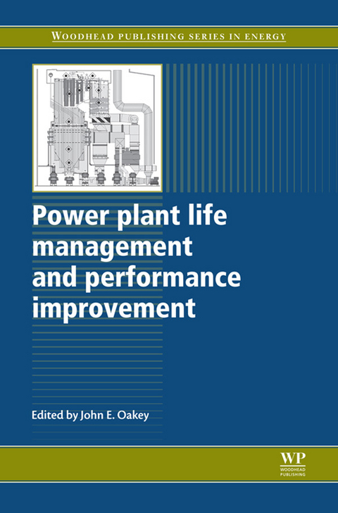 Power Plant Life Management and Performance Improvement - 