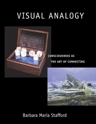 Visual Analogy - Barbara Maria Stafford