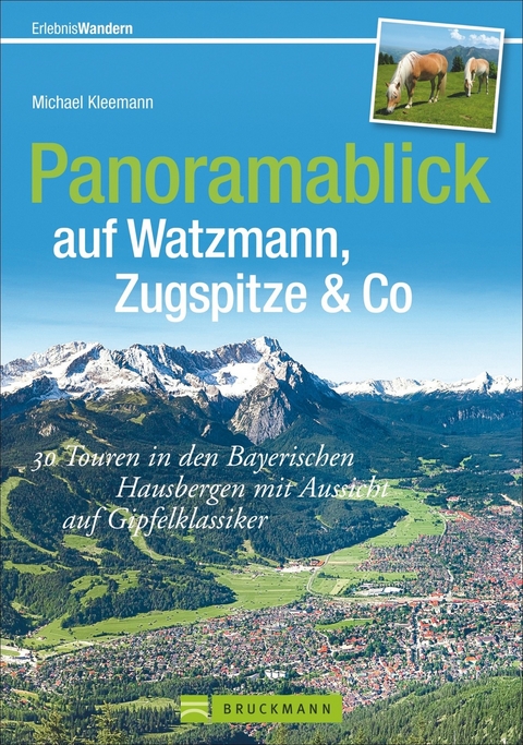 Panoramablick auf Watzmann, Zugspitze & Co - Michael Kleemann