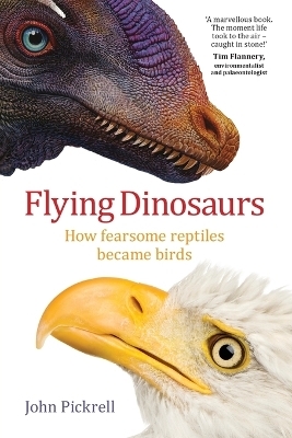 Flying Dinosaurs - John Pickrell