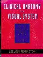 Clinical Anatomy of the Visual System - Lee Ann Remington, Eileen McGill