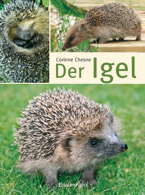 Der Igel - Corinne Chesne