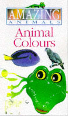 Amazing Animals:  Animal Colours Video