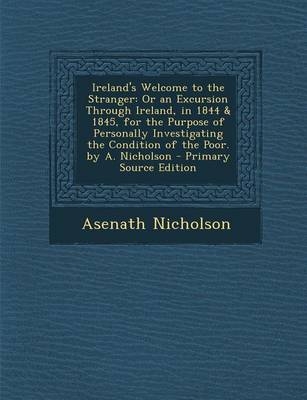 Ireland's Welcome to the Stranger - Asenath Nicholson