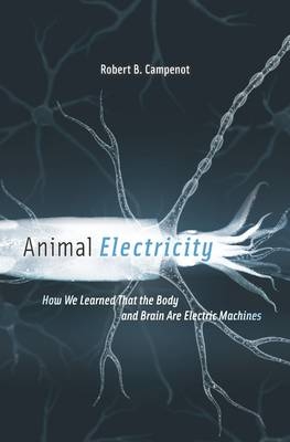 Animal Electricity -  Campenot Robert B. Campenot