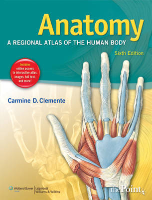 Anatomy - Carmine D. Clemente