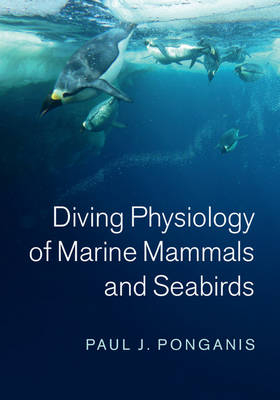 Diving Physiology of Marine Mammals and Seabirds -  Paul J. Ponganis