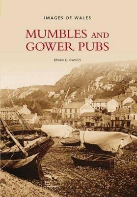 Mumbles and Gower Pubs - Brian Davies