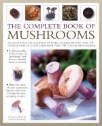 The Ultimate Mushroom Book - Peter Jordan, Steven Wheeler