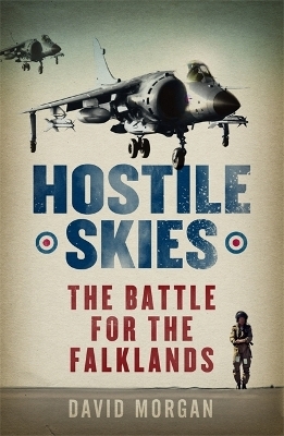 Hostile Skies - David Morgan