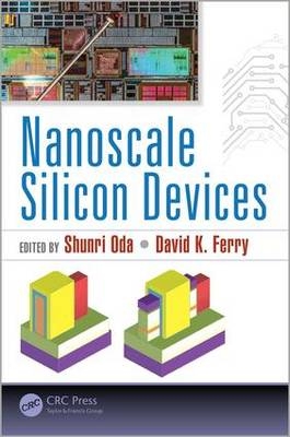 Nanoscale Silicon Devices - 