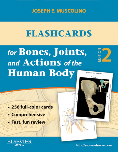 Flashcards for Bones, Joints, and Actions of the Human Body - E-Book -  Joseph E. Muscolino