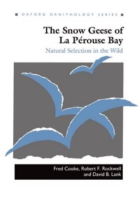 The Snow Geese of La Pérouse Bay - Fred Cooke, Robert F. Rockwell, David B. Lank
