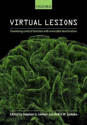 Virtual Lesions - 