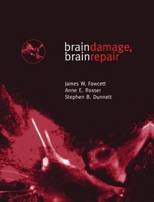 Brain Damage, Brain Repair - James W. Fawcett, Anne E. Rosser, Stephen B. Dunnett