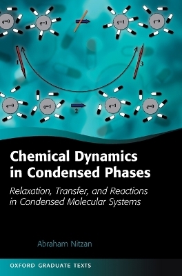 Chemical Dynamics in Condensed Phases - Abraham Nitzan