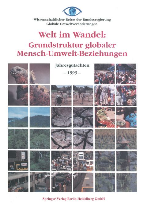 Welt im Wandel: Grundstruktur globaler Mensch-Umwelt-Beziehungen - Kenneth A. Loparo