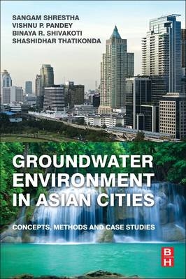 Groundwater Environment in Asian Cities - 